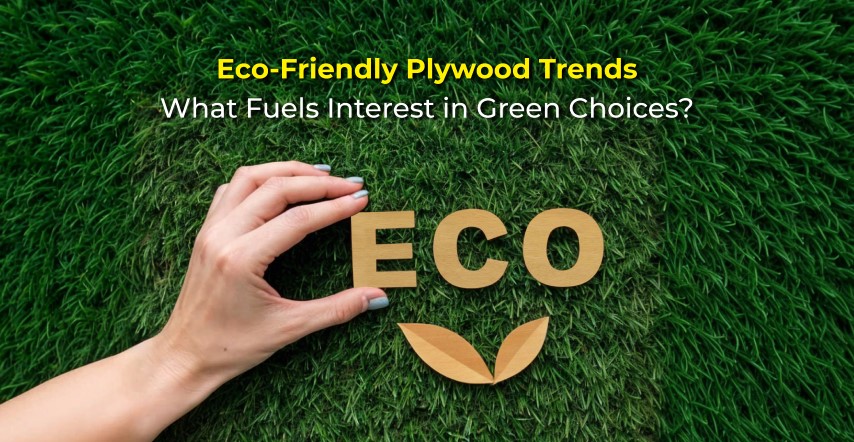 Eco-Friendly-Plywood-Trends-What-Fuels-Interest-in-Green-Choices