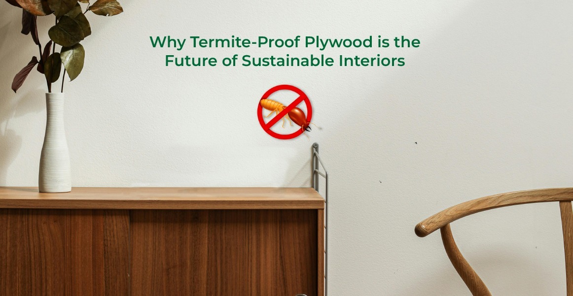 Termite-Proof-Plywood-is-the-Future-of-Sustainable